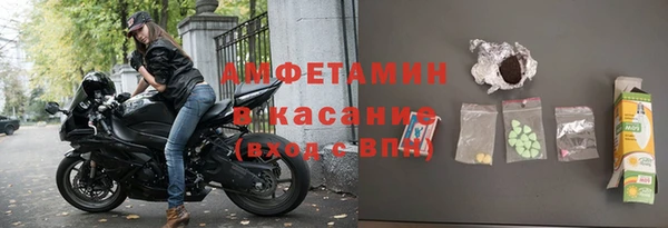 прущие грибы Абдулино