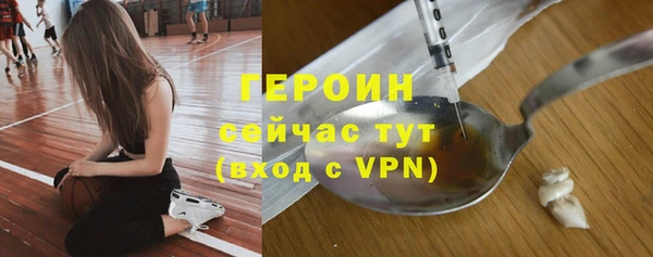 гашик Алексин