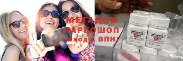 гашик Алексин