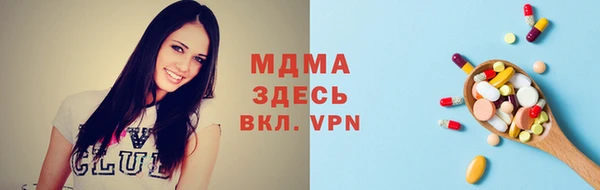 гашик Алексин