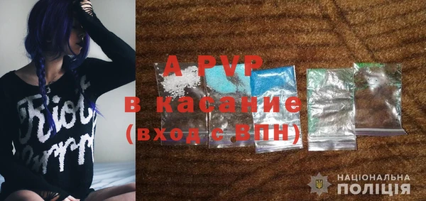 гашик Алексин