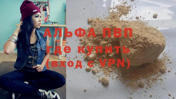 гашик Алексин